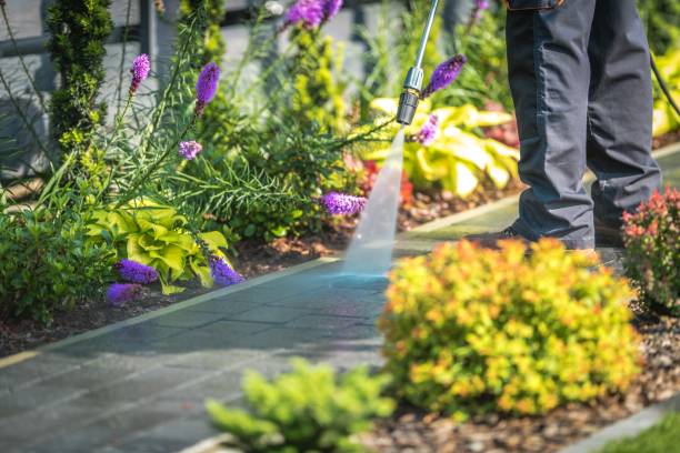 Best Winterizing Services  in Toledo, OR
