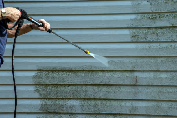 Best Sidewalk and Walkway Cleaning  in Toledo, OR