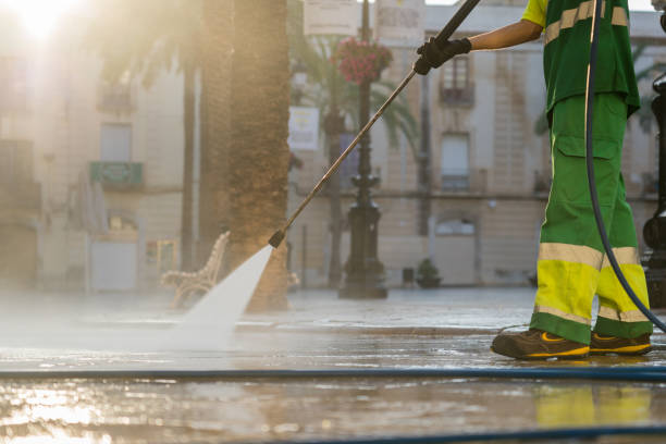 Best Soft Washing  in Toledo, OR